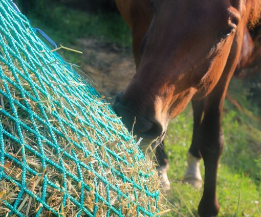 red para heno slow feeding paddock one 35 equinae 2