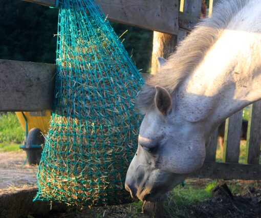 red para heno slow feeding saco pequeño 35 equinae