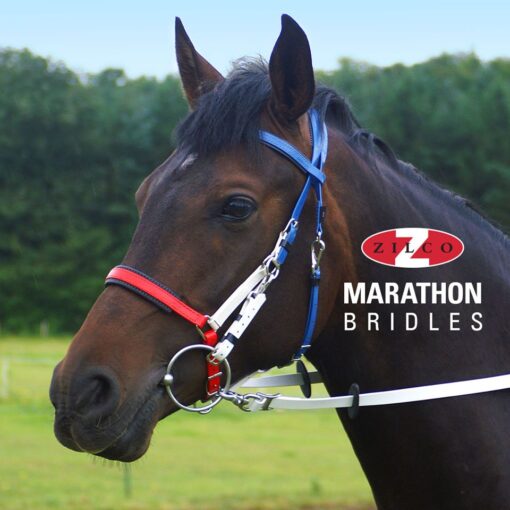 BRIDA ZILCO DE BIOTHANE MODELO MARATHON