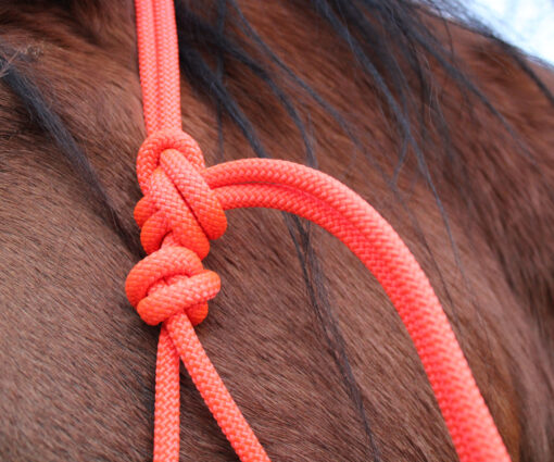 JÁQUIMA MUSTANG REINS CUERDA NÁUTICA (VARIOS COLORES) - Imagen 4