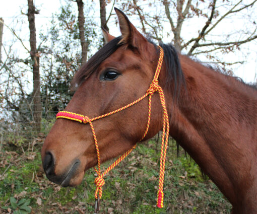 JÁQUIMA MUSTANG MODELO CASO - Imagen 2