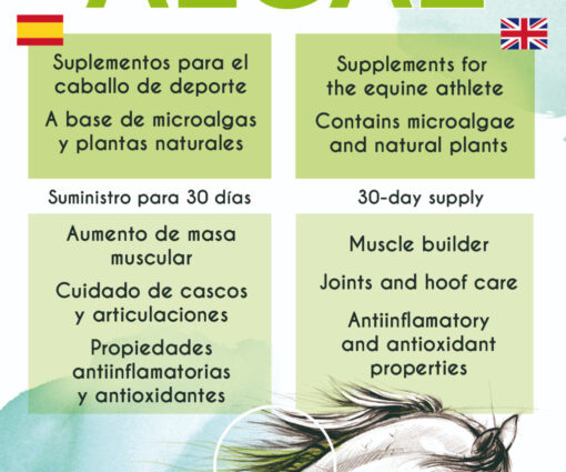EQUIALGAE– Suplemento natural con micro algas y cúrcuma - Imagen 3
