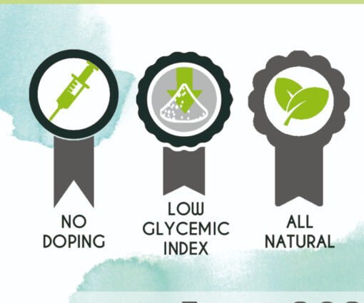 EQUIALGAE– Suplemento natural con micro algas y cúrcuma - Imagen 4