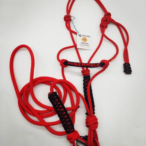 JÁQUIMA MUSTANG REINS PERSONALIZADA CON NOMBRE (VARIOS COLORES) - Imagen 2