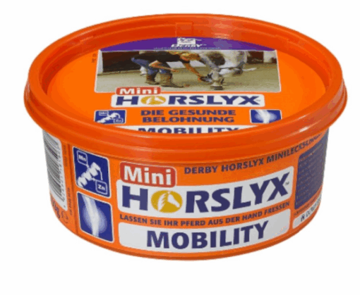 HORSLYX MOBILITY