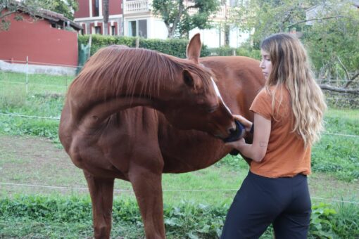 HORSLYX MOBILITY - Imagen 4