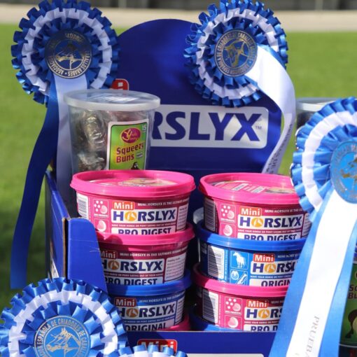 HORSLYX MOBILITY - Imagen 2