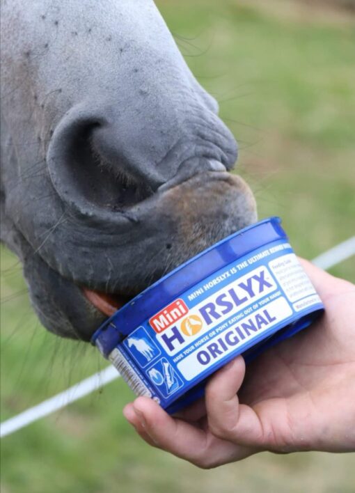 HORSLYX ORIGINAL
