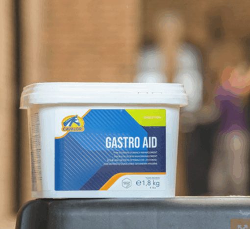 GASTRO AID CAVALOR - Imagen 3