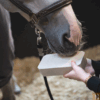 Stable Rocky Cavalor 2 Kg - Imagen 3