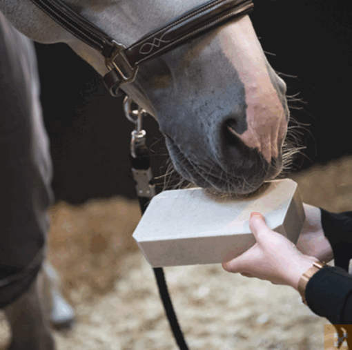 Stable Rocky Cavalor 2 Kg - Imagen 3