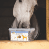 CRUNCHIES CAVALOR 1.5KG