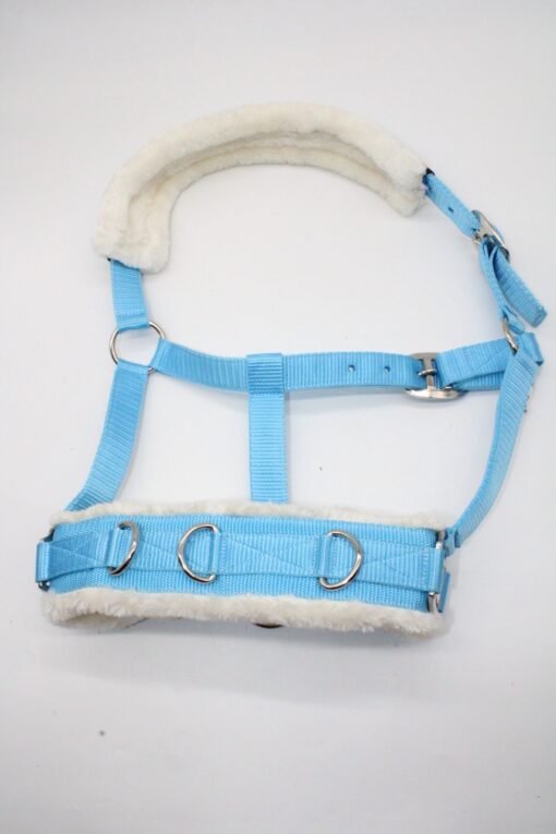 CAVESSON BRIDLE - Imagen 2