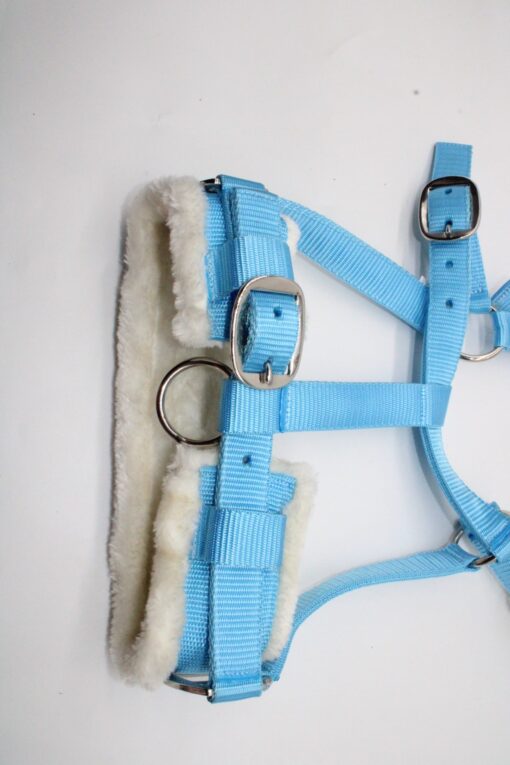 CAVESSON BRIDLE - Imagen 5