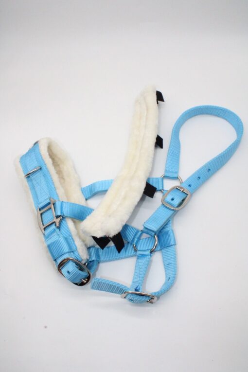 CAVESSON BRIDLE - Imagen 4