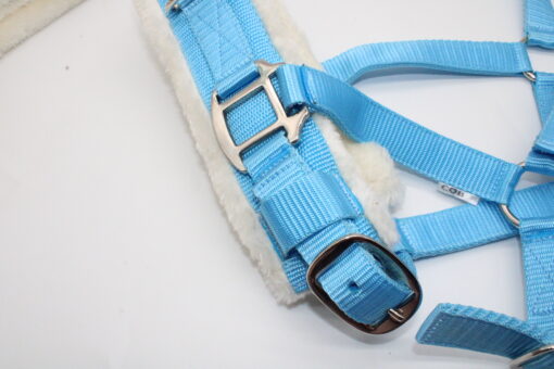 CAVESSON BRIDLE - Imagen 6