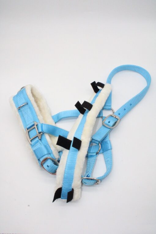 CAVESSON BRIDLE - Imagen 3