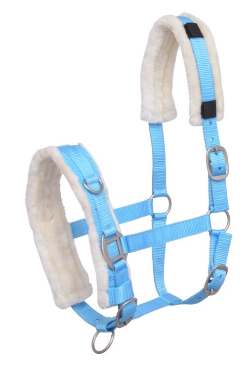 CAVESSON BRIDLE