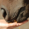MACRO CABALLOS LD TOTAL - Imagen 2