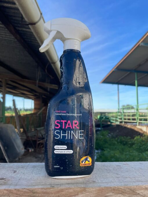 STAR SHINE CAVALOR